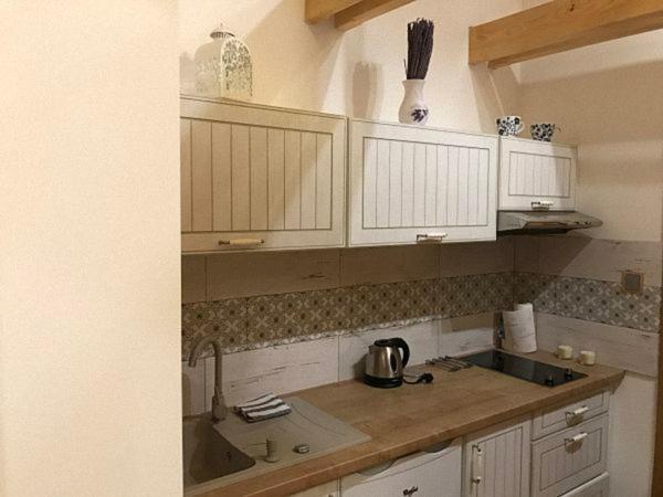 Apartament U Mistra Vichra Černý Důl Zewnętrze zdjęcie